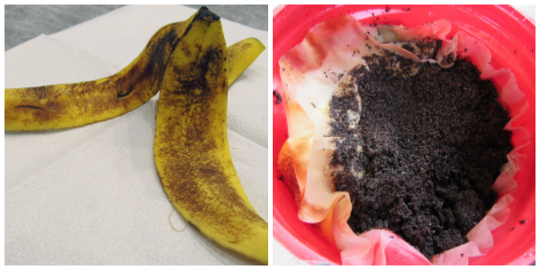 Worm Composting 5 Worm Composting 5